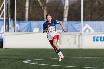 Bild 414 - wBJ Hamburger SV - Hertha BSC : Ergebnis: 2:1